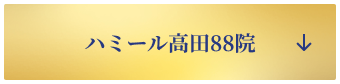 ハミール高田88院
